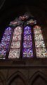 IMG_20190418_124934.jpg
