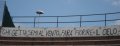 DSC00752ok.jpg