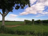 IMG_20230808_090233.jpg
