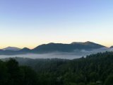 IMG_20230812_062326.jpg