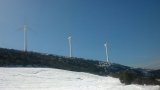 IMG-20130228-WA0000.jpg