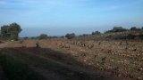 IMG-20130303-WA0006.jpg
