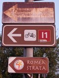 IMG_20260913_063243.jpg