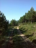 10530750_10203513947401984_1661732012452032026_n.jpg